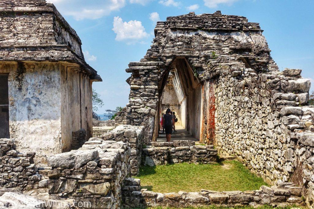 帕連奎 Palenque 馬雅遺址 墨西哥 mayan mexico