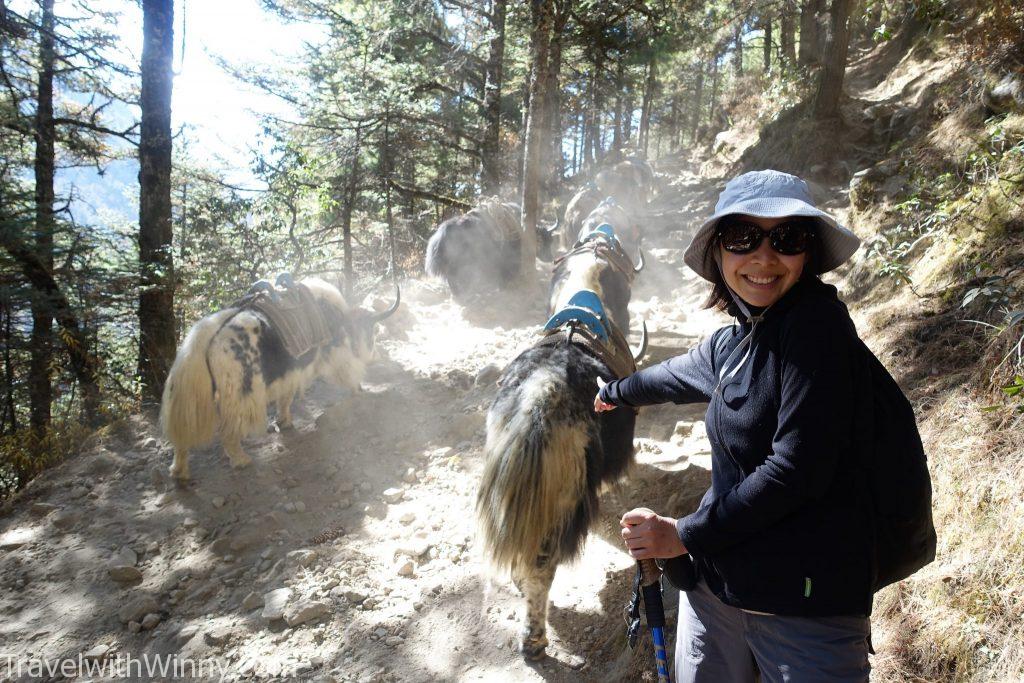 EBC 聖母峰 himalayas 喜馬拉雅山