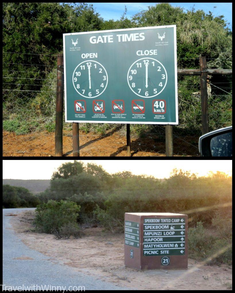 南非 south africa Addo Elephant Park 阿多大象國家公園