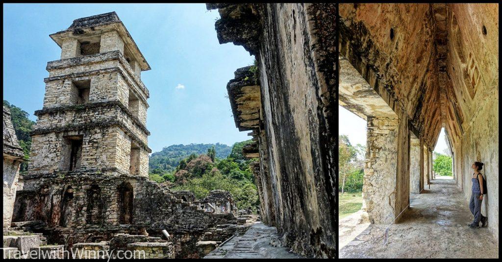 帕連奎 Palenque 馬雅遺址 墨西哥 mayan mexico