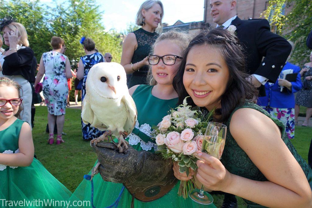 貓頭鷹 ring bearer owl