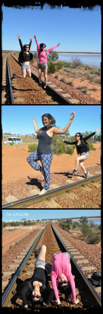 Lake Hart 澳洲 鹽湖 salt lake australia