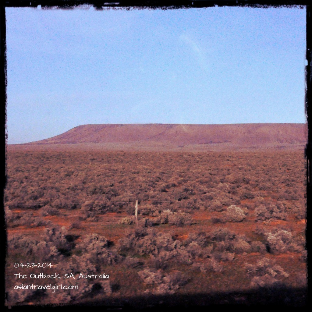 弗林德斯山脈 Flinders Ranges