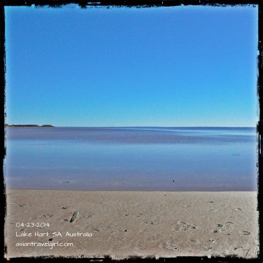 Lake Hart 澳洲 鹽湖 salt lake australia